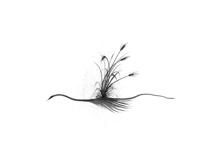 A simple watercolor image of harvest wheat